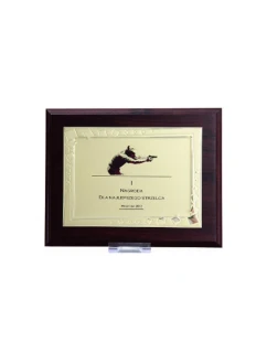 Plastový diplom s vyrytou kovovou destičkou