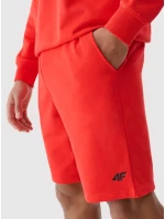 Pánské kraťasy 4F
