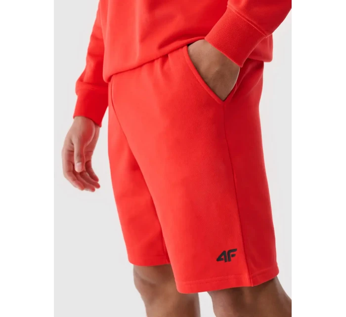 Pánské kraťasy 4F