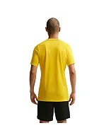 Pánské tričko Nike Dri-Fit Park 26 SS Top yellow HM7127 719 pánské