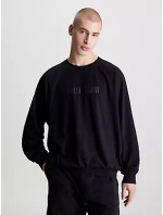 Pánské spodní prádlo Heavyweight Knits L/S SWEATSHIRT 000NM2568EUB1 - Calvin Klein