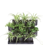 ZAHRADNÍ KVĚTINY STOJÍCÍ ANTHRACITE pro děti ZAHRADNÍ KVĚTINY STOJÍCÍ ANTHRACITE pro děti