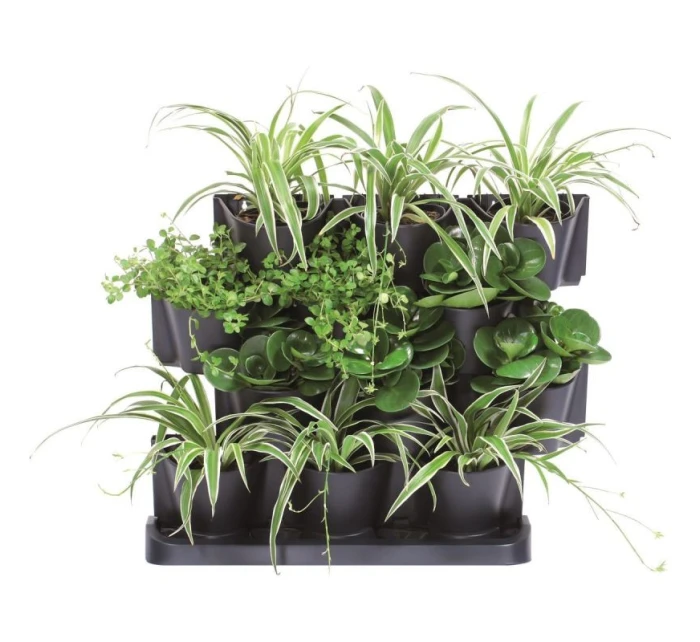 ZAHRADNÍ KVĚTINY STOJÍCÍ ANTHRACITE pro děti ZAHRADNÍ KVĚTINY STOJÍCÍ ANTHRACITE pro děti