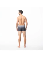 Pánské plavky Stripe M 92800076209 - Aquawave