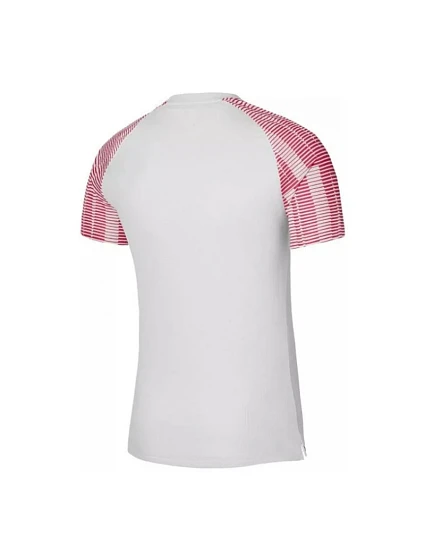 Pánské tričko DriFit Academy SS M model 17298952 - NIKE Pánské tričko DriFit Academy SS M model 17298952 - NIKE