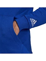 Adidas Essentials Hoodie M H12165 pánské Adidas Essentials Hoodie M H12165 pánské