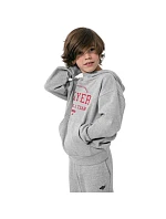 Chlapecká mikina Jr HJZ22 model 17719523 27M - 4F
