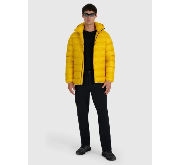 Pánské trekové kalhoty 4F 4FRAW25TFTRM1233-20S