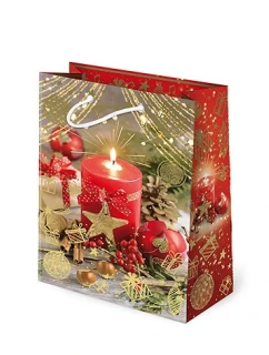 Dárkové tašky T4L Set  A'10 model 21327707 - Paw