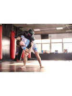 tréninková 165 cm 28 kg model 21438034 - DBX Bushido tréninková 165 cm 28 kg model 21438034 - DBX Bushido