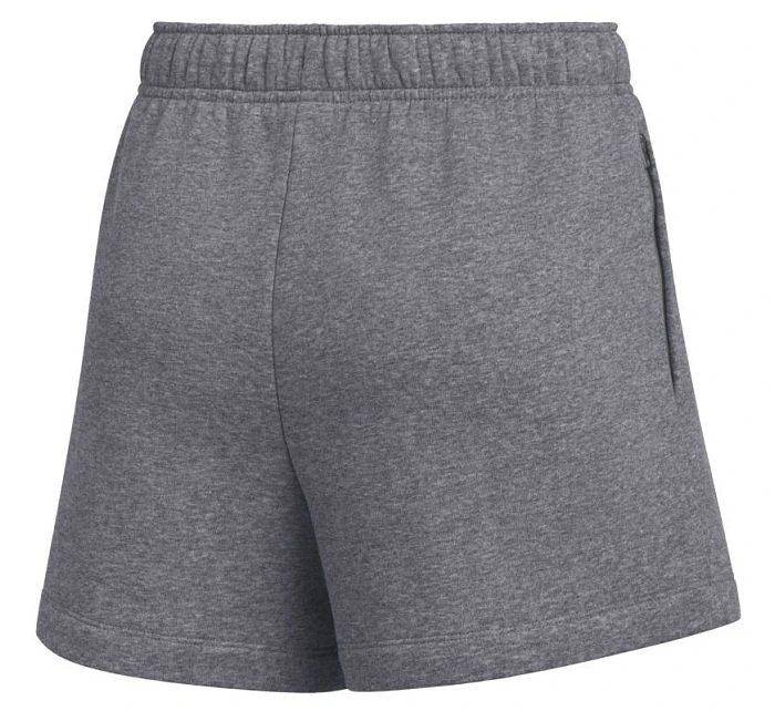 Dámské šortky Park 26 Fleece grey model 22054261 071 dámské - NIKE