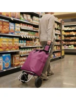 NÁKUPNÍ VOZÍK NA KOLEČKÁCH S RÁMEM 33L ČERVENÝ