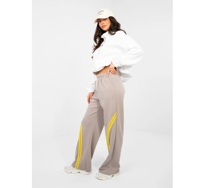 Spodnie dresowe IT DR model 22013669 ciemny bezowy - FPrice