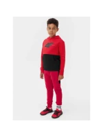 Mikina 4F Jr 4FJAW23TSWSM628-62S