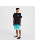 Plážové tričko s grafikou O'Neill M 92800613988 Plážové tričko s grafikou O'Neill M 92800613988