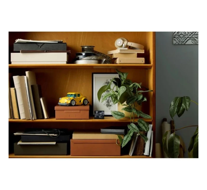 LEGO 10338 ICONS Čmelák