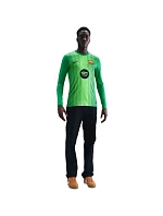 Pánský dres FC Barcelona Stadium Goalkeeper green pánské model 22215383 - NIKE Pánský dres FC Barcelona Stadium Goalkeeper green pánské model 22215383 - NIKE