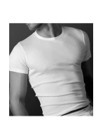 Pánské tričko model 20839734 - Atlantic