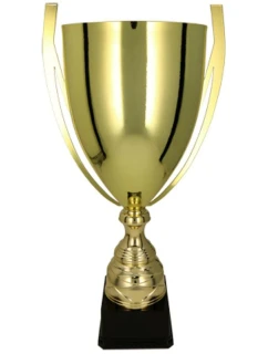 Zlatý kovový pohár BASTER