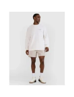 Pánské tričko oversize s potiskem a dlouhým rukávem 4F 4FWSS25TLONM390-11S pánské