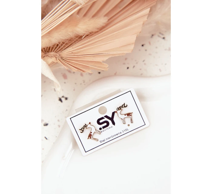 Náušnice model 21791543 ze chirurgické oceli - Boto Náušnice model 21791543 ze chirurgické oceli - Boto