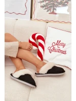 Dámské pantofle s kožíškem Černé model 21772644 - Boto Dámské pantofle s kožíškem Černé model 21772644 - Boto