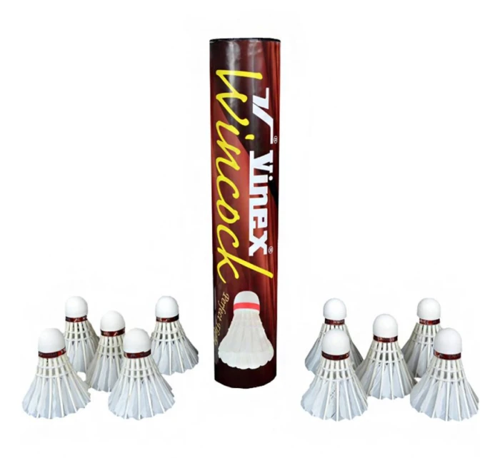 Šipky  NO10 model 21868064 - Vinex