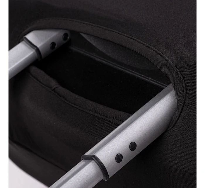 na model 21360578 - Iguana na model 21360578 - Iguana