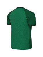 Dětské tričko Nike Dri-FIT Trophy VI, zelené, HV8158 302 Dětské tričko Nike Dri-FIT Trophy VI, zelené, HV8158 302