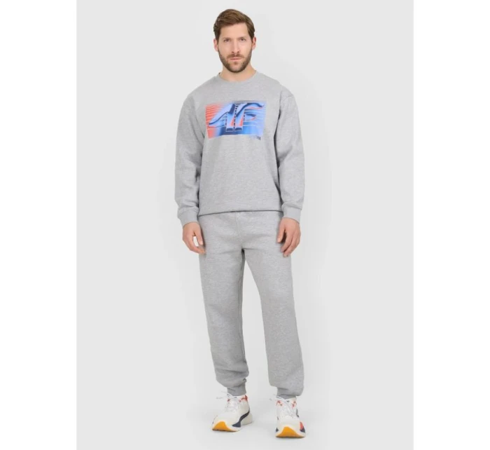 Pánské tepláky typu jogger model 21877671 - 4F Pánské tepláky typu jogger model 21877671 - 4F