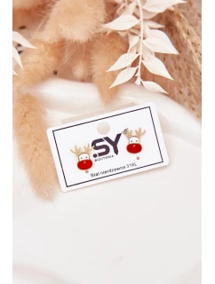 Náušnice model 21772361 ze chirurgické oceli - Boto