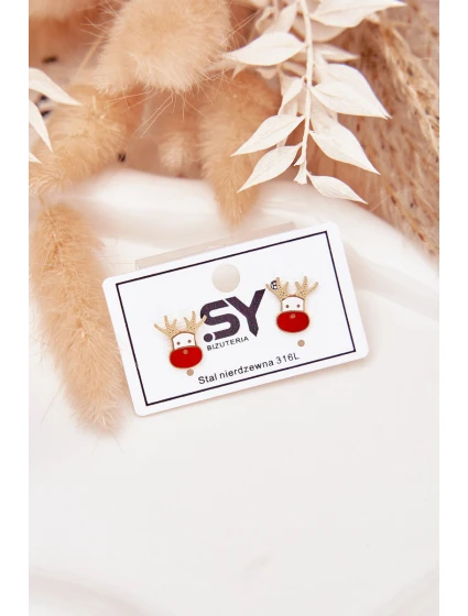 Náušnice model 21772361 ze chirurgické oceli - Boto Náušnice model 21772361 ze chirurgické oceli - Boto