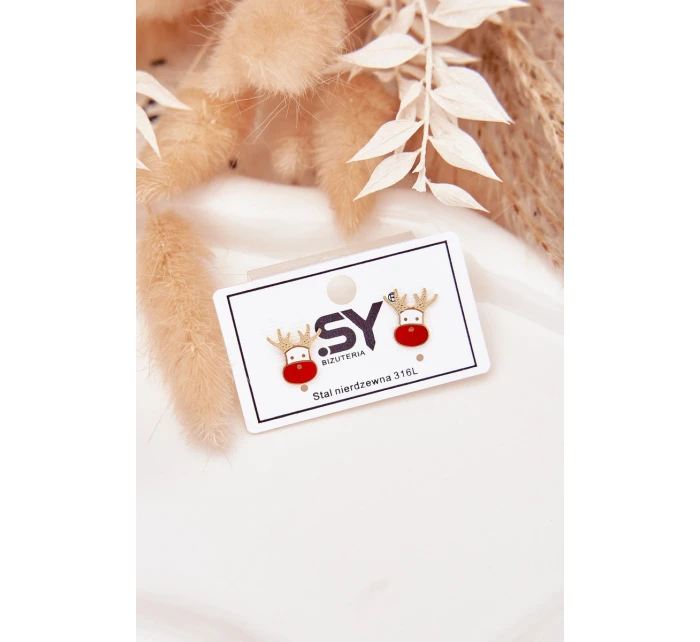 Náušnice model 21772361 ze chirurgické oceli - Boto Náušnice model 21772361 ze chirurgické oceli - Boto