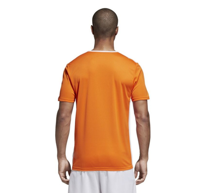 Pánské fotbalové tričko Entrada 18 CD8366 - Adidas