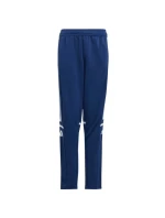 Kalhoty adidas Squadra 25 Training Jr JD4799