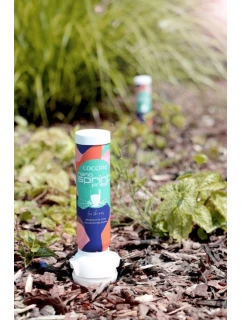 Fresh Obuv dorant model 21682587 - Coccine