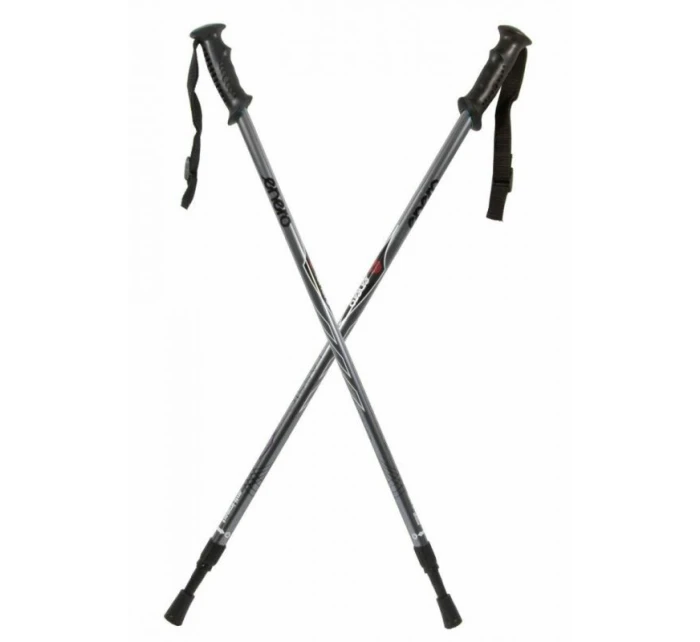 Trekingové hole Classic silver Trekingové hole Classic silver