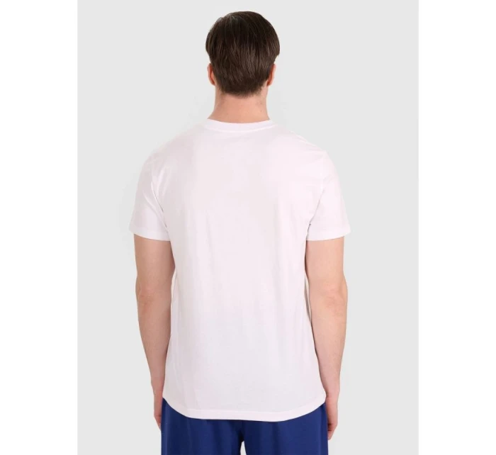 Pánské volejbalové tričko s potiskem model 21756914 - 4F Pánské volejbalové tričko s potiskem model 21756914 - 4F