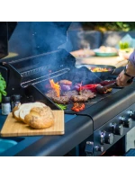 model 21810055 model 21810055