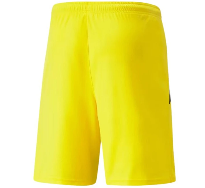 Šortky Puma teamLIGA M 704924 07 Šortky Puma teamLIGA M 704924 07