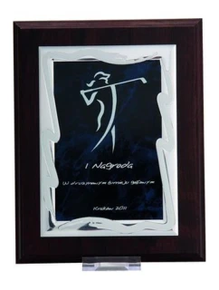 Plastový diplom s vyrytou kovovou destičkou