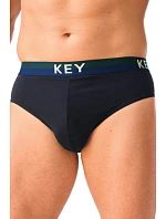 PÁNSKÉ MPP B26 model 22301948 - Key PÁNSKÉ MPP B26 model 22301948 - Key