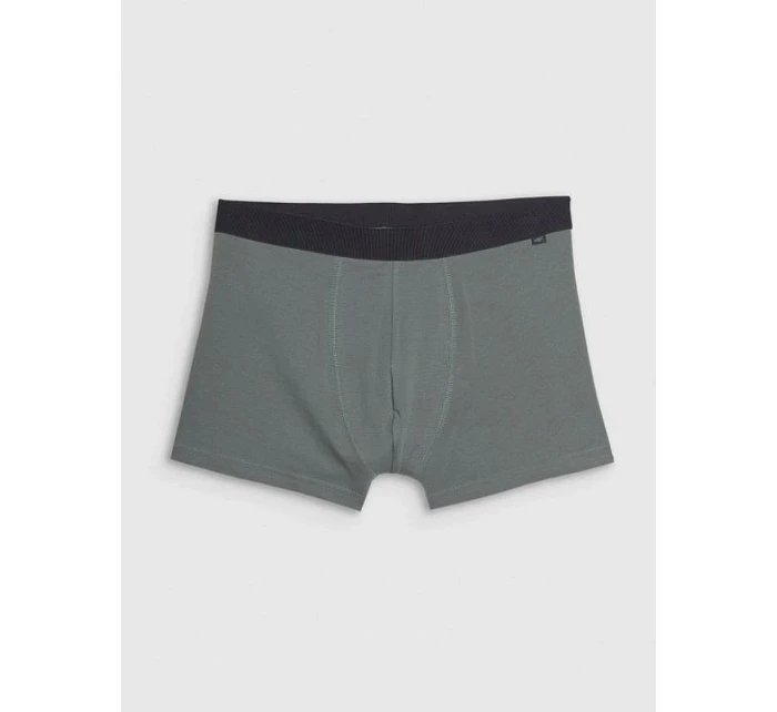 Pánské boxerky (3 balení) model 22117220 - 4F