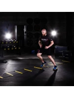 Premium model 21167139 - HMS