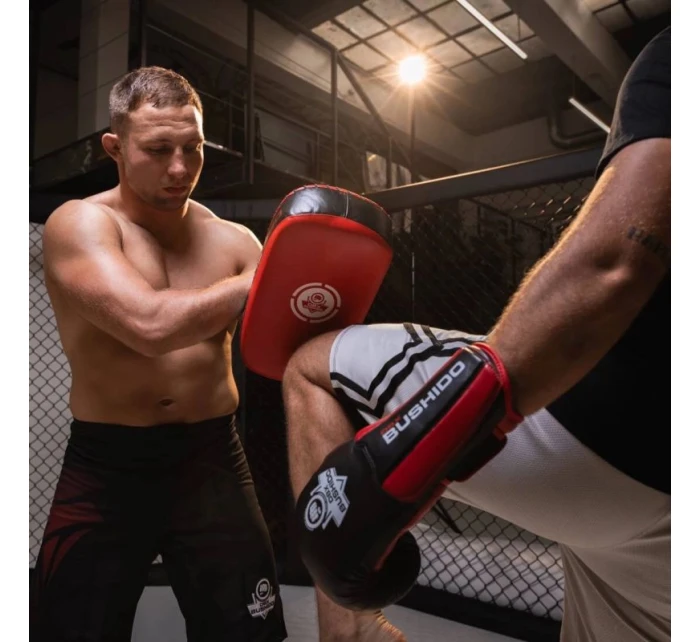 Tréninkový z přírodní kůže model 21438000 - DBX Bushido Tréninkový z přírodní kůže model 21438000 - DBX Bushido