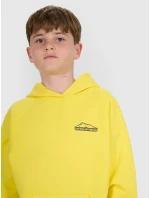 Chlapecká mikina 4F