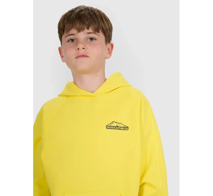 Chlapecká mikina 4F