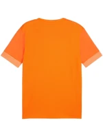 teamGoal Jersey M 08 pánské model 21283917 - Puma