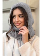 model 21730732 - AJS