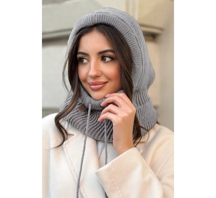 model 21730732 - AJS